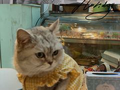 -小时光咖啡馆(北锣鼓巷店)