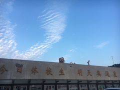 -杭州市陈经纶体育学校