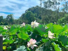 -沙县小吃文化城