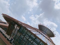 -广富林郊野公园