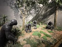 -周口店北京人遗址公园