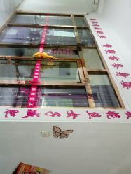 -香薇妮丝·定制减肥·身材管理