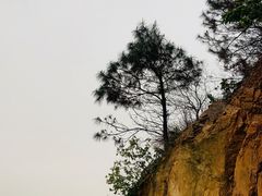 -羚羊峡古栈道森林公园