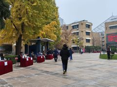 -北京市陈经纶中学