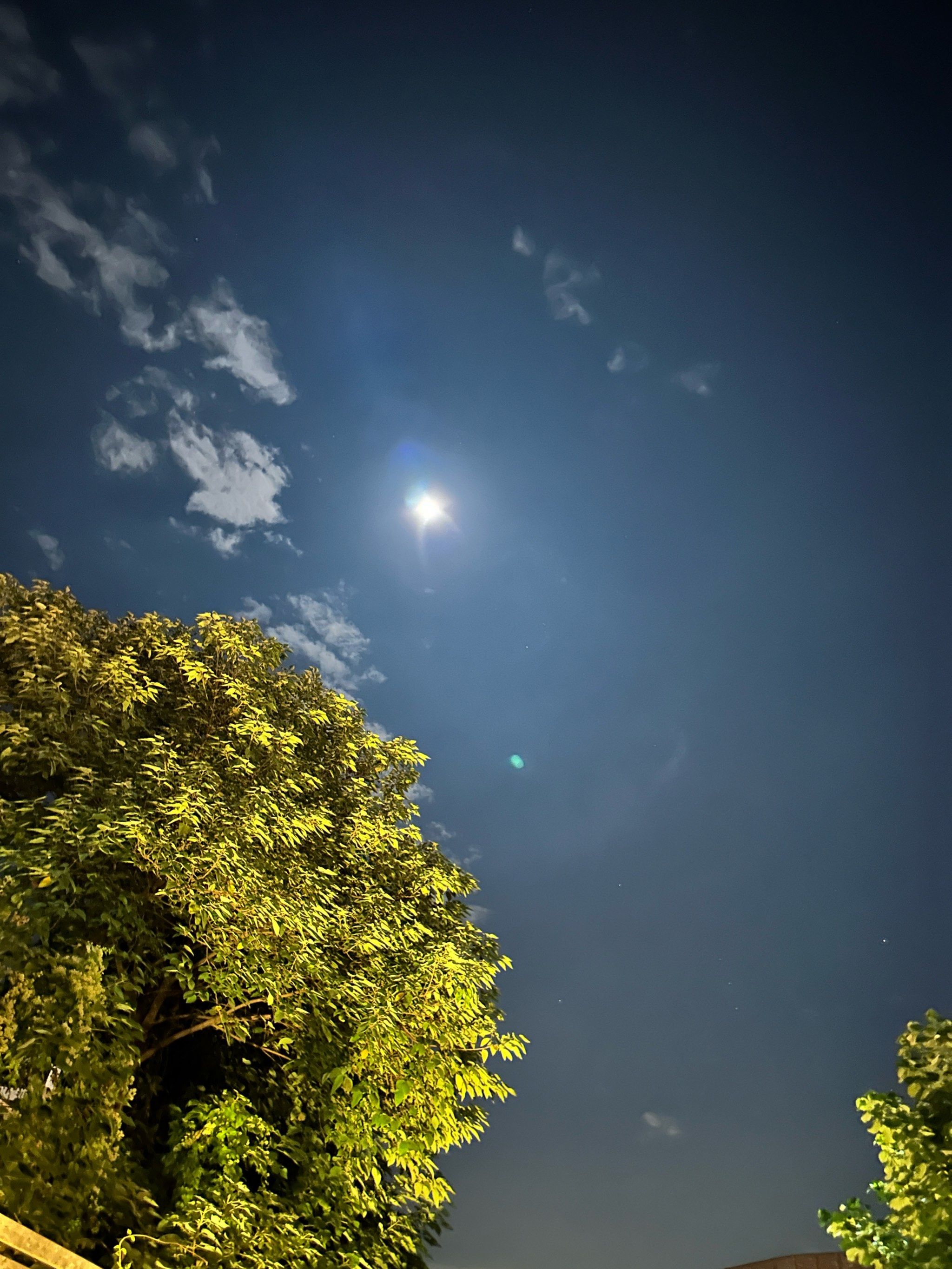 夜空下的月亮话