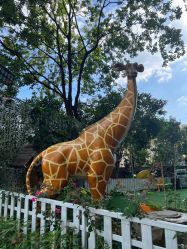 -可可天空农场(中大店)