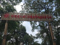 景点-剑门关风景区