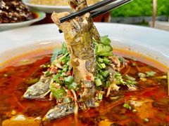 -院8里·少城记忆老川菜(宽窄巷子店)