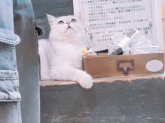-小时光咖啡馆(开森度假森林店)
