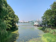 -月湖风景区
