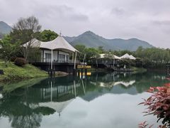 -帐篷客·溪龙茶谷度假酒店