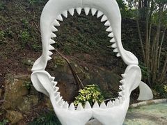 -香港海洋公园