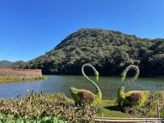 -广州市石门国家森林公园