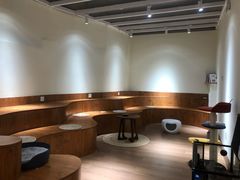 -有猫主题·治愈系猫咖(曾厝垵店)