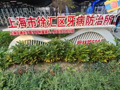 -上海市徐汇区口腔医院
