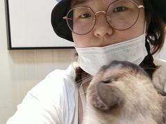 -宠爱国际动物医院· 猫科· 外科·中兽医(长白店)