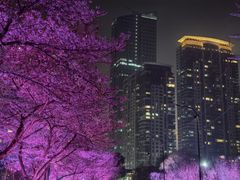 -西北湖绿化广场