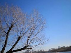 -长春市南湖公园