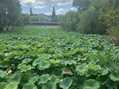 -东坡赤壁风景名胜区
