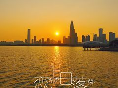 -深圳湾公园(南山区)