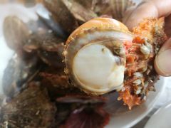 -张会海鲜饭店(东戴河店)
