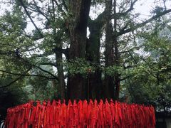 -西湖风景区十里琅珰-五云山