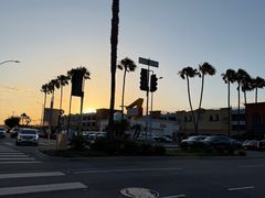 -In-N-Out Burger(LAX)