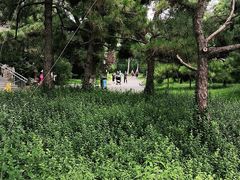 -丰台花园