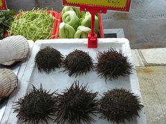 -蚝专家(北滘店)