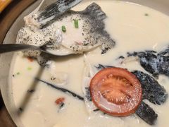 -全乐鱼馆·淳牌有机鱼直营店