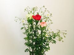 -弗劳尔花艺坊(龙涛店)