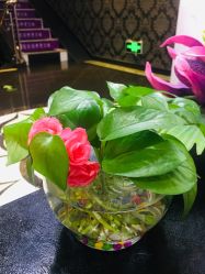 -莎蔓莉莎美容会所