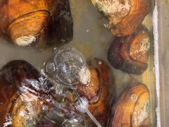 -泰白海鲜烧烤大全