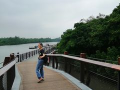 -东寨港红树林旅游区