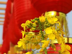 -中国天府农业博览园