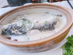 -天目湖涵田半山温泉