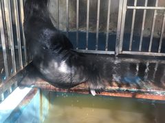 -泉州海丝野生动物世界