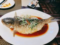 -桃源咖啡厅(武夷山大红袍山庄店)