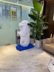 -洁铭新加坡医美