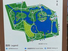 -大兴滨河森林公园