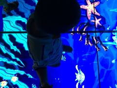 -中国宋庆龄青少年科技文化交流中心
