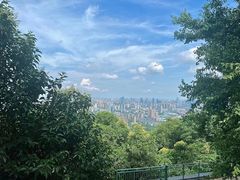 -大蜀山国家森林公园
