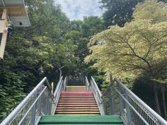 -佛山华盖山公园