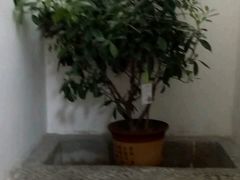 -小江南(老洋桥店)