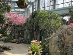 -天目湖山水园
