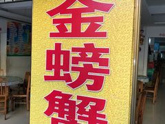 -金螃蟹