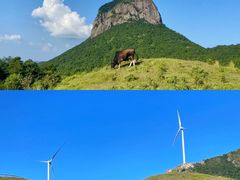 -天龙顶山地公园