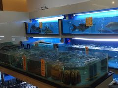 -池记大牌档(广纸店)