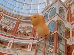 -江南环球港