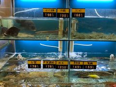 水产区-阿马蛋汤·宁波小海鲜(总店)